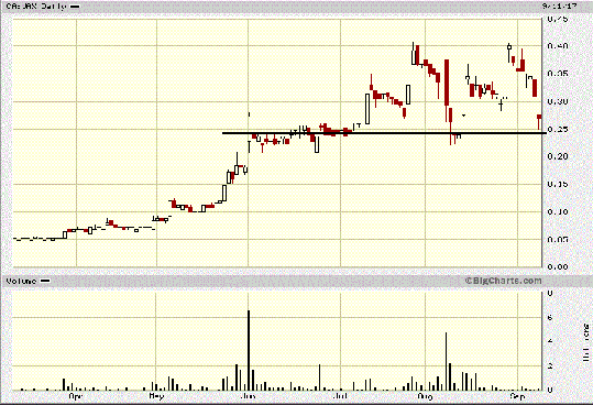 Ggi Stock Chart