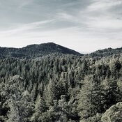 defense metals defense metals