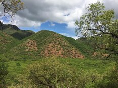 Expert Says Gold and Silver Co. Poised To Make a Big Discovery in Arizona