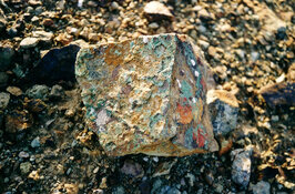 golden cross golden cross