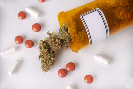 Medical cannabis Medical cannabis