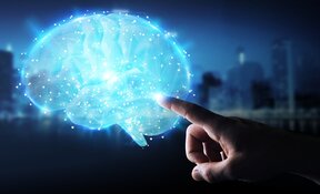 neuroscience promis neuro