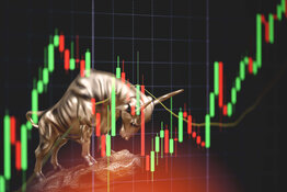 bull bull