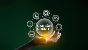 carbon credits carbon credits