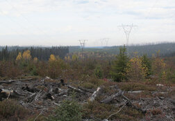 Falcon property NSU.jpg Falcon property NSU.jpg