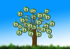 GreenMoneyTreePixabay.jpg GreenMoneyTreePixabay.jpg