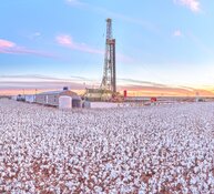 southern energy southern energy