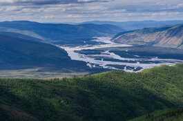 White Gold Yukon