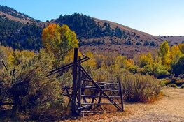 Gold Explorer Reports High-Grade Results in Ontario