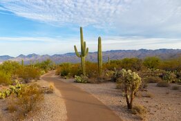 arizona
