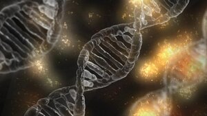 Cell Therapy Firm Kyverna Advances U.S. Phase 3 MG Trial