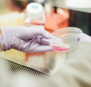 clinical trial clinical trial