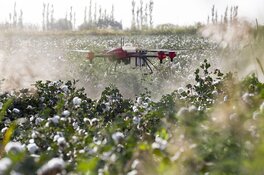 Record-Breaking Quarter Signals Major Shift in Counter-Drone Industry