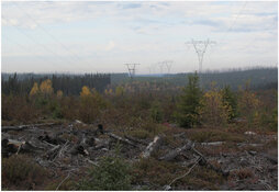 north shore north shore