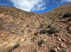 Explorer Uncovers High-Grade Gold-Silver Systems in Argentina Expansion