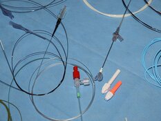 Biotech Firm Uncovers Breakthrough Gene Therapy in New York