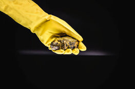 uranium uranium