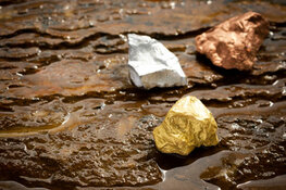 gold gold