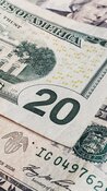 dollar dollar