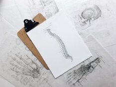 spine spine