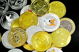Understanding the 31.82% Stock Leap for This Crypto Co.