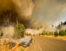 Wildfire 2.0 Dataset Sparks Interest at CatIQ Event