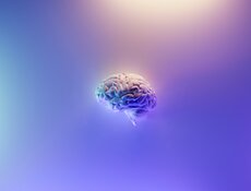brain brain