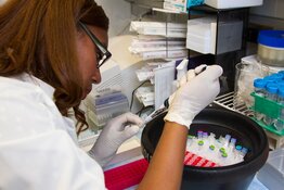 biotech biotech