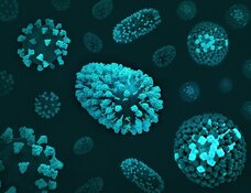 flu