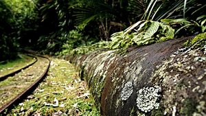 Image by ken lecoq from Pixabay