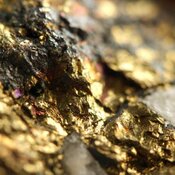 gold gold