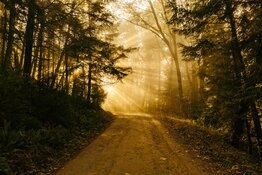 path path