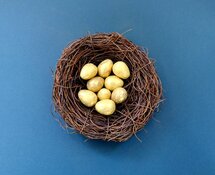 A nest of gold eggs A nest of gold eggs