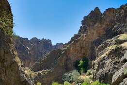 Rocky desert slopes with sparse plants