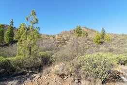 A desert in spain