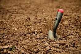 Explorer Hits 78m of High-Grade Gold in Breakout Drill Result