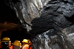 miner