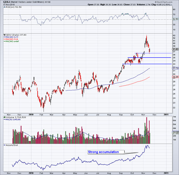 GDXJ 11/17/10